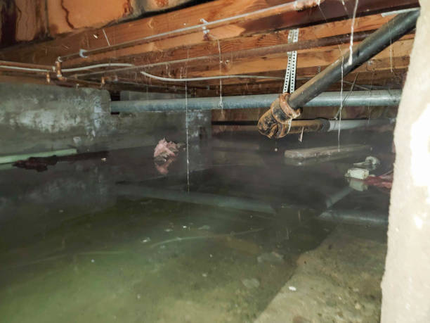 Best Residential water damage restoration  in Prairieville, LA