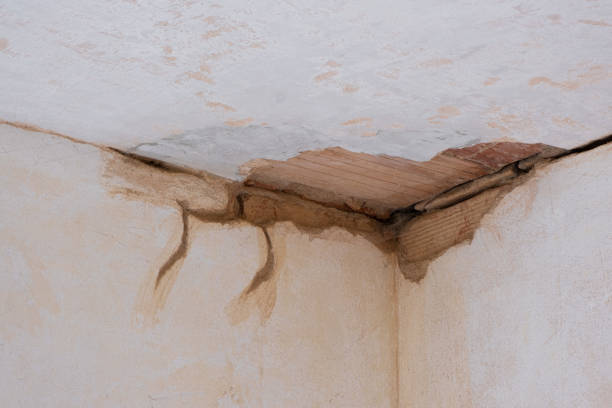Best Commercial water damage restoration  in Prairieville, LA