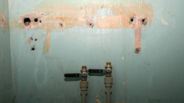Best Fire Damage Restoration  in Prairieville, LA
