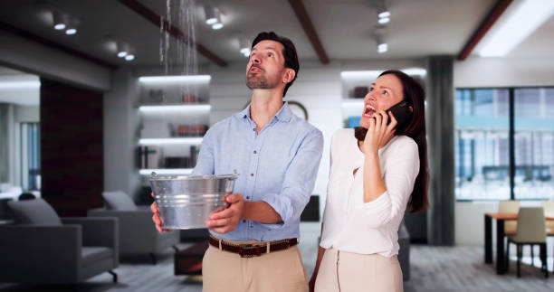 Best Water damage cleanup near me  in Prairieville, LA