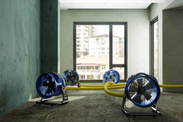 Best Professional water damage repair  in Prairieville, LA