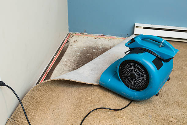 Best Water damage restoration mold remediation  in Prairieville, LA